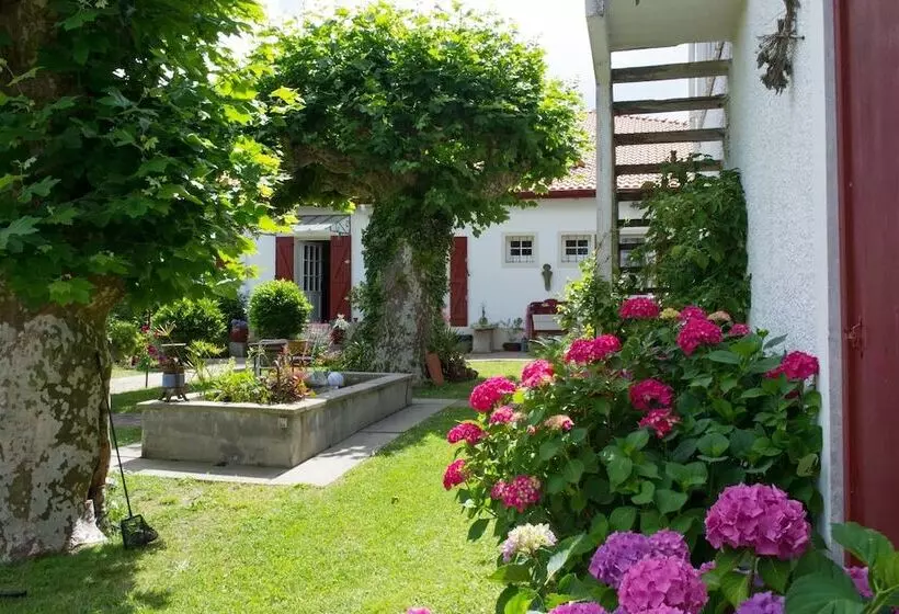 ペンション Maison De Mézos