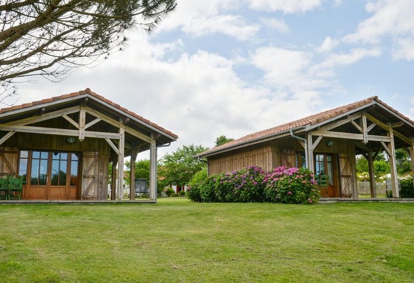 ペンション Maison De Mézos