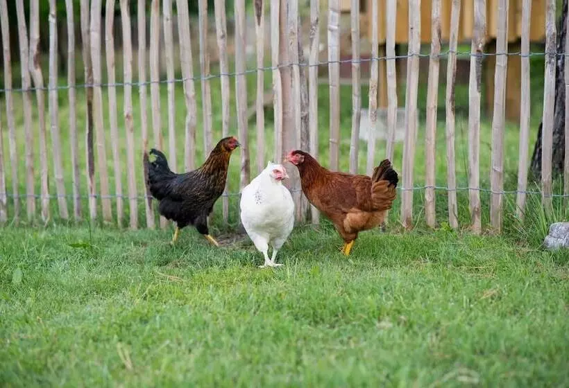 ペンション Maison De Mézos