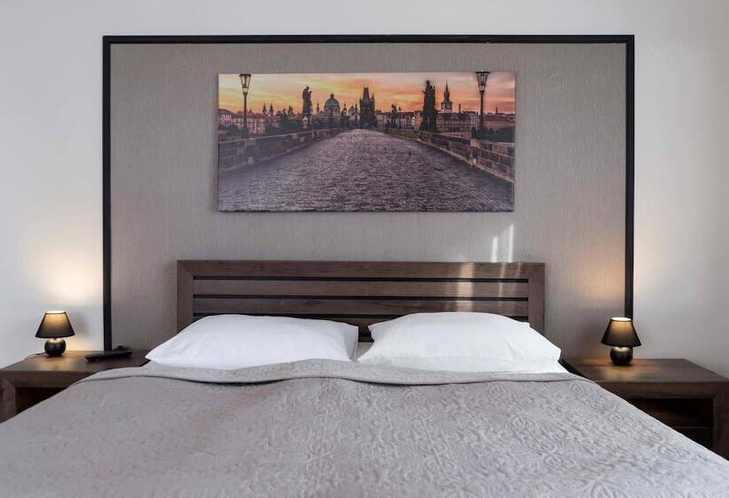 פנסיון Penzion Homer Slany