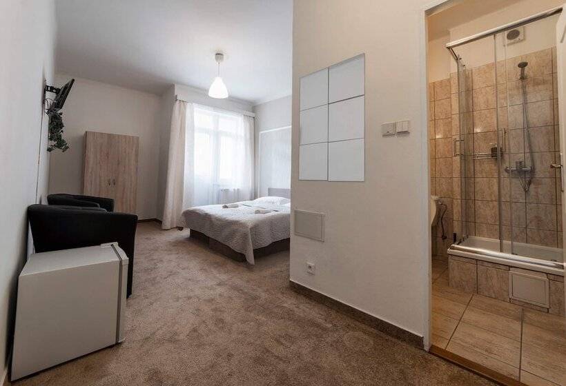 פנסיון Penzion Homer Slany