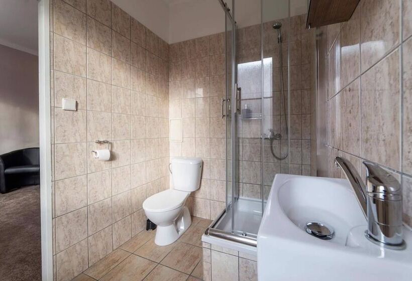 פנסיון Penzion Homer Slany