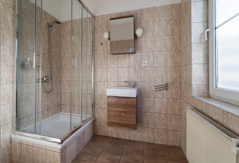 פנסיון Penzion Homer Slany