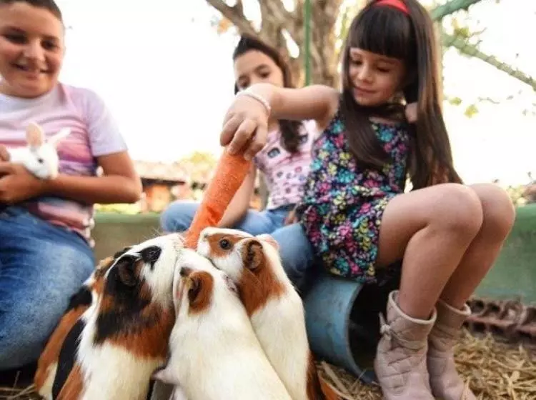 Majatalo Pousada Fazenda Santa Fe