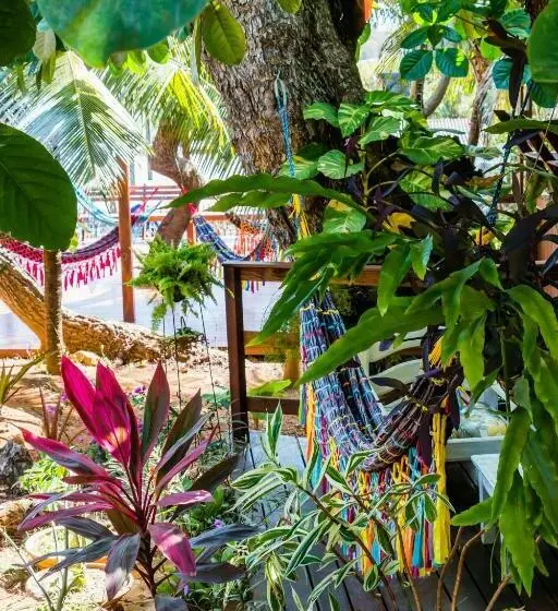 پانسیون Pousada Naiepe