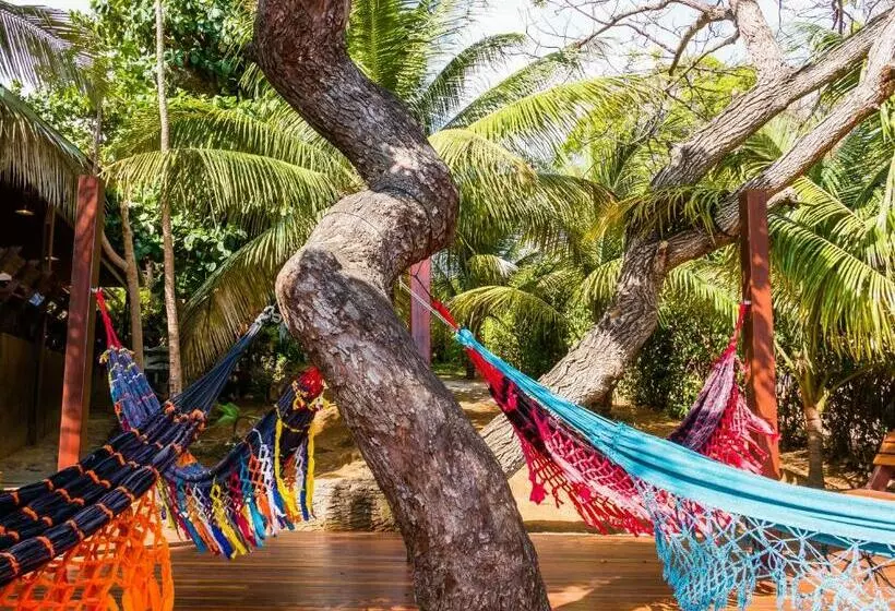 پانسیون Pousada Naiepe