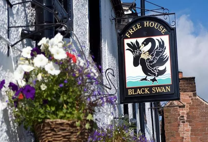 Alberg Black Swan