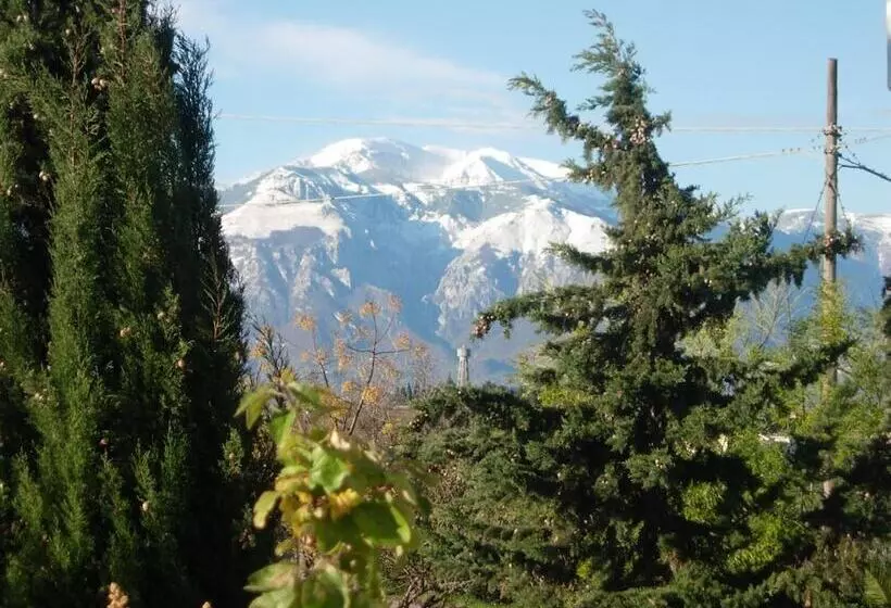 Hotelli Angelucci Agriturismo Con Camere E Agri Camping