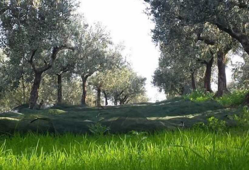 בית מלון כפרי Angelucci Agriturismo Con Camere E Agri Camping