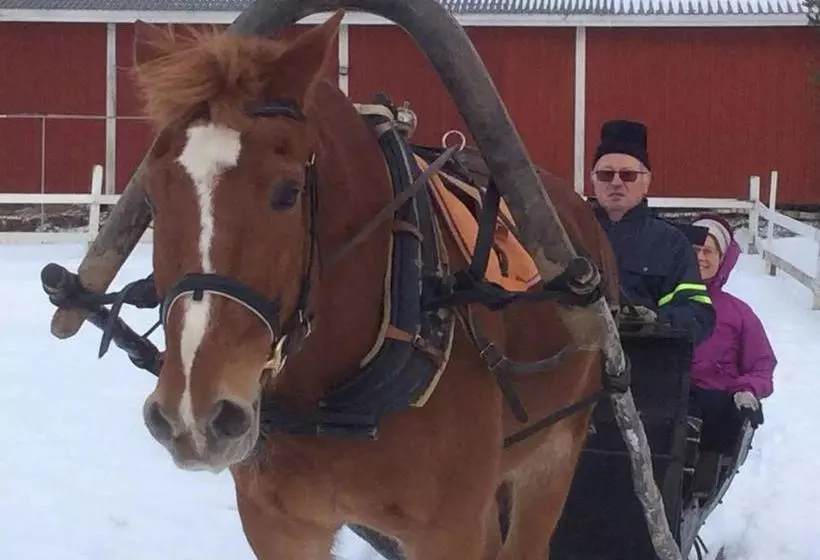 Hotelli Ilola Maatilamatkailu