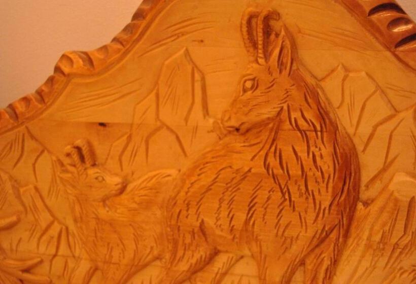 پانسیون Cabana Popasul Haiducilor