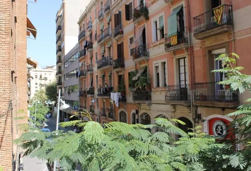 پانسیون Hostal Oliveta