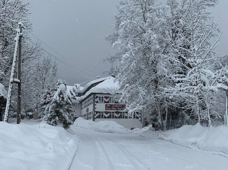 Pensão Landgasthof Zum Alten Reichenbach