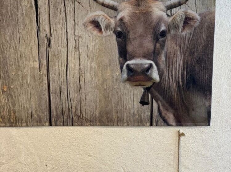 Pensão Landgasthof Zum Alten Reichenbach