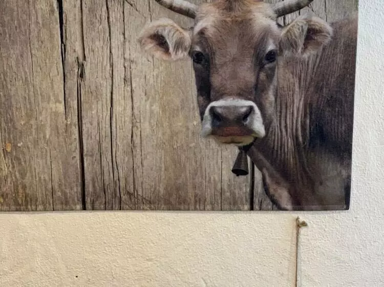 Majatalo Landgasthof Zum Alten Reichenbach