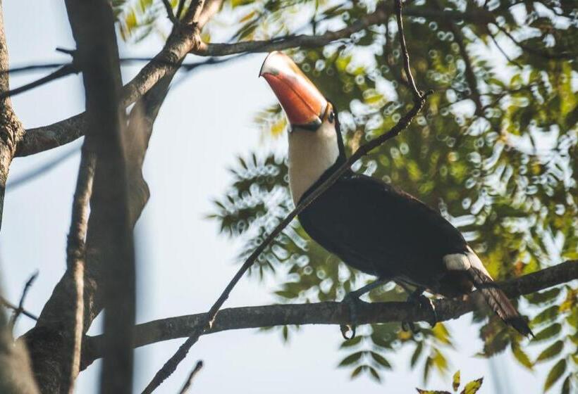 پانسیون Pousada Do Peralta