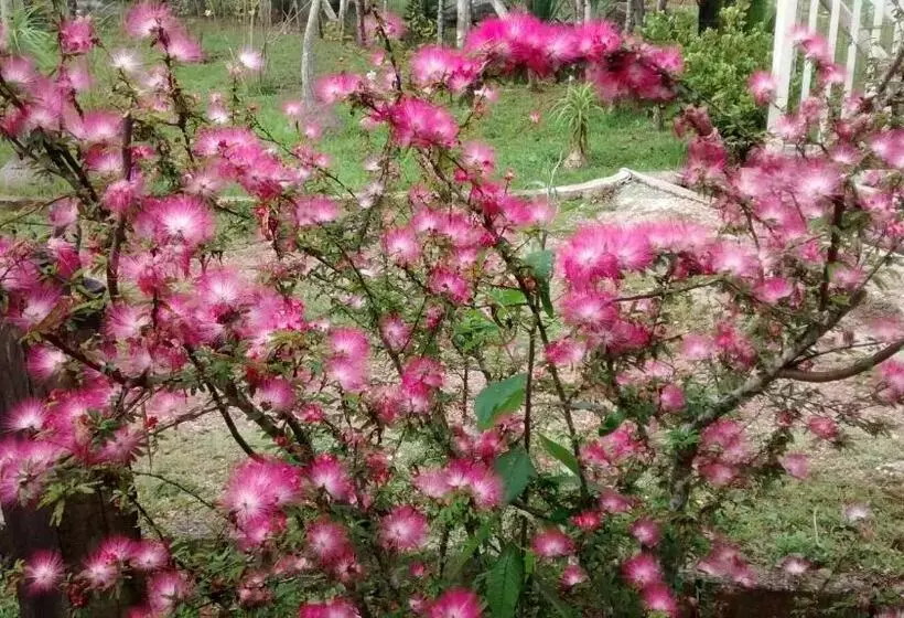 ユースホステル Pousada Vila Do Campo