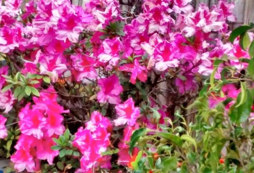 Ostello Pousada Vila Do Campo