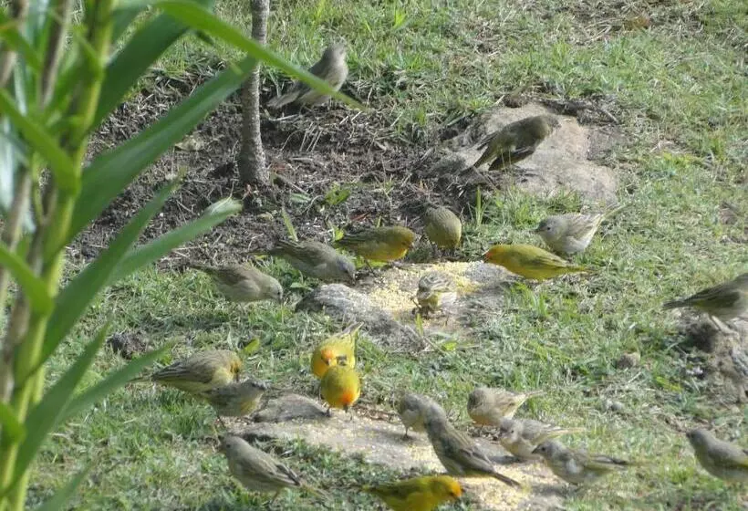 ユースホステル Pousada Vila Do Campo