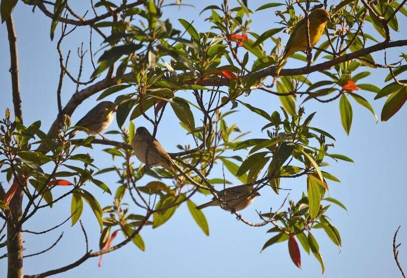 Ostello Pousada Vila Do Campo