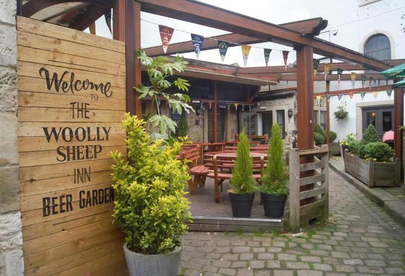 هاستل The Woolly Sheep Inn