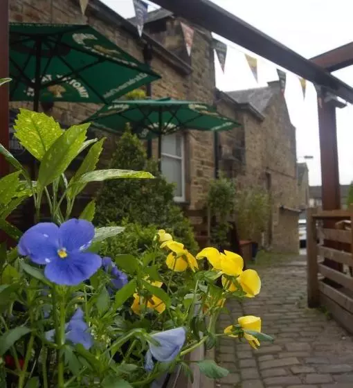 Retkeilymaja The Woolly Sheep Inn