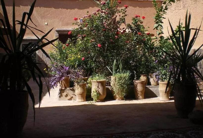 تختخواب و صبحانه Maison D  Hôtes Ait Hmid