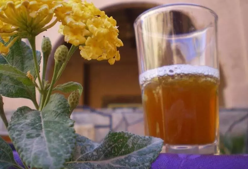 تختخواب و صبحانه Maison D  Hôtes Ait Hmid