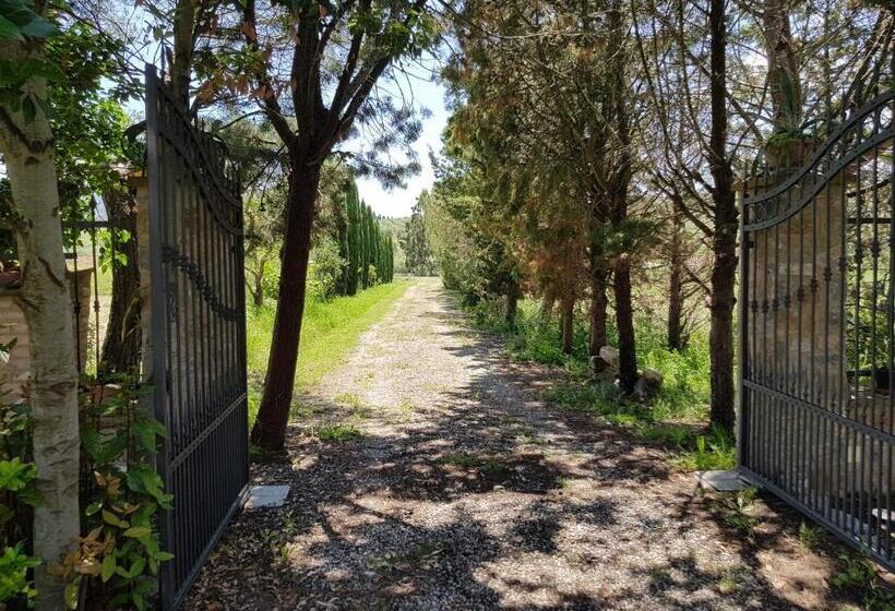 ホテル Agriturismo Bio Le 4 Stagioni