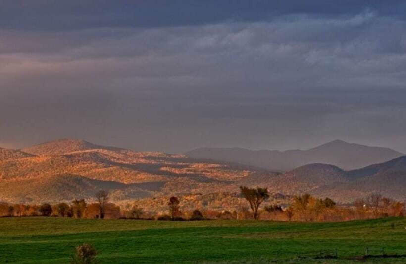 酒店 The Brandon Inn