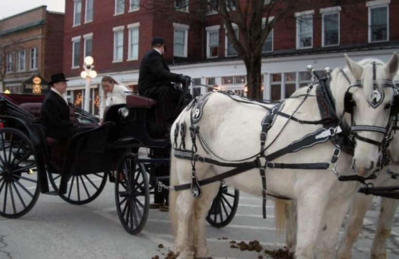 酒店 The Brandon Inn