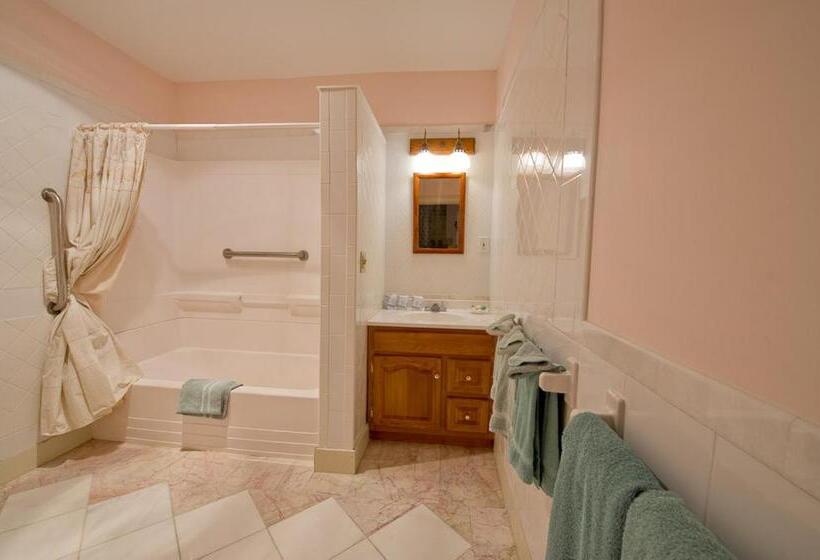 酒店 The Brandon Inn