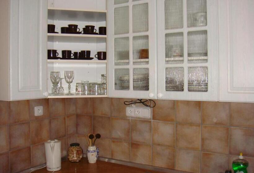 ペンション Asso Penzion