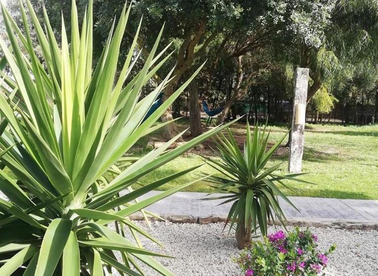 ペンション Nexo Surf House