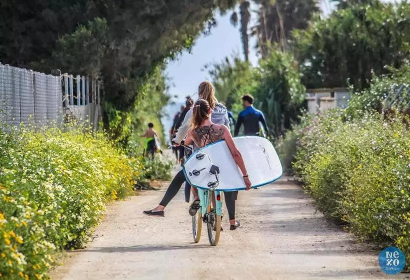 پانسیون Nexo Surf House