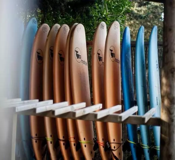 پانسیون Nexo Surf House