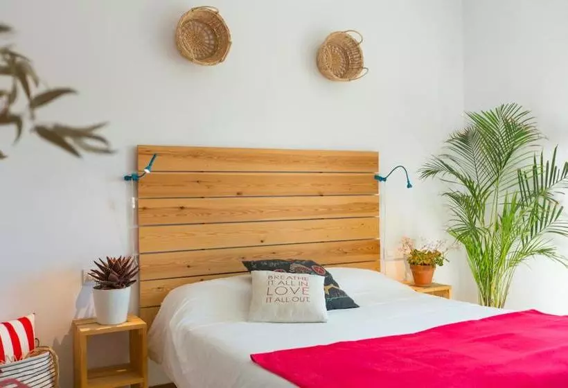 پانسیون Nexo Surf House