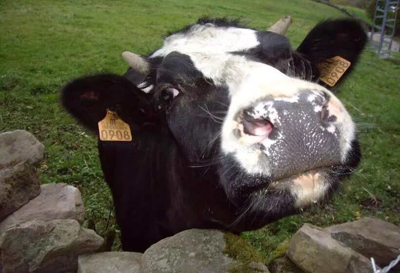 ペンション Posada La Vieja Escuela