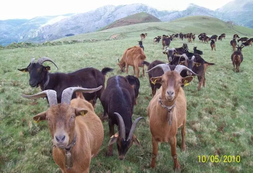 ペンション Posada La Vieja Escuela