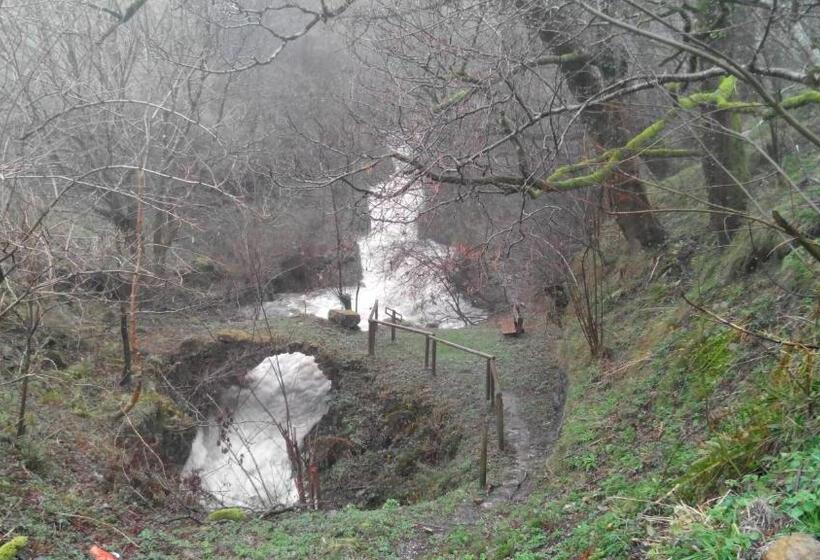 膳宿费 Posada La Vieja Escuela