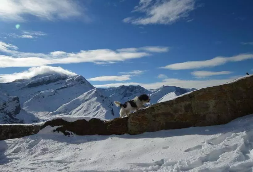 ペンション Posada La Vieja Escuela