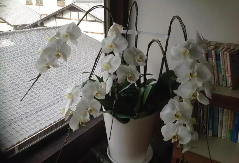 ペンション Ryoso Kawaguchi