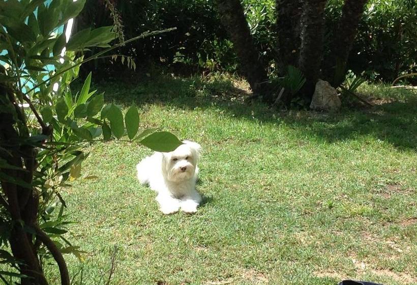 Belvedere Residenza Mediterranea