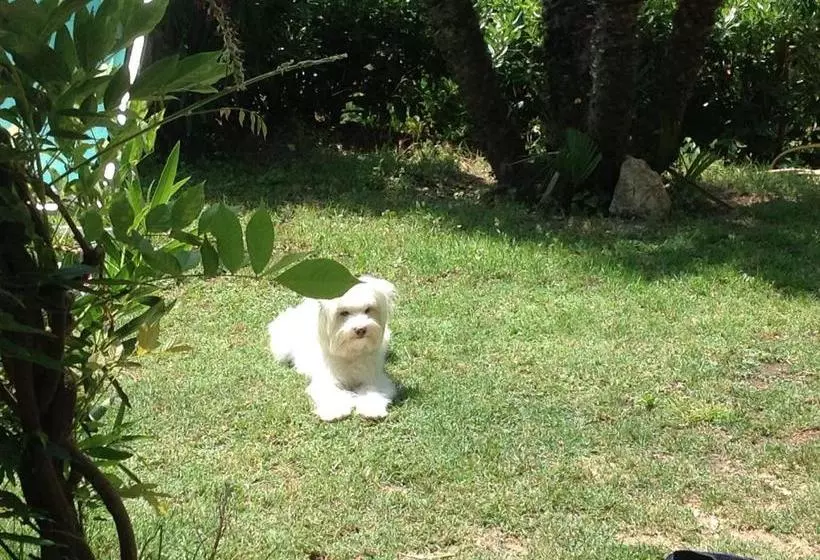 Belvedere Residenza Mediterranea