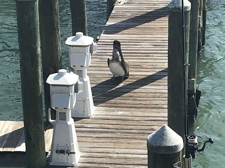 旅馆 Holiday Isles Resort