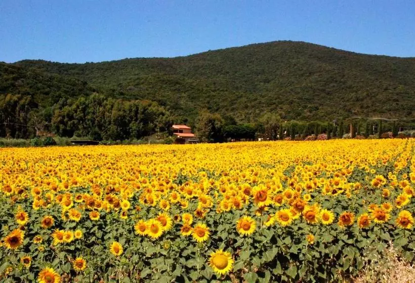 Hotelli Agriturismo Valborgina