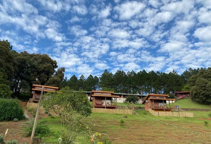 Отель Pousada Recanto Primavera