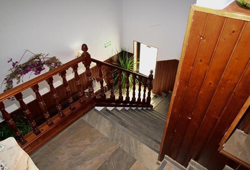 پانسیون Hostal Los Rosales