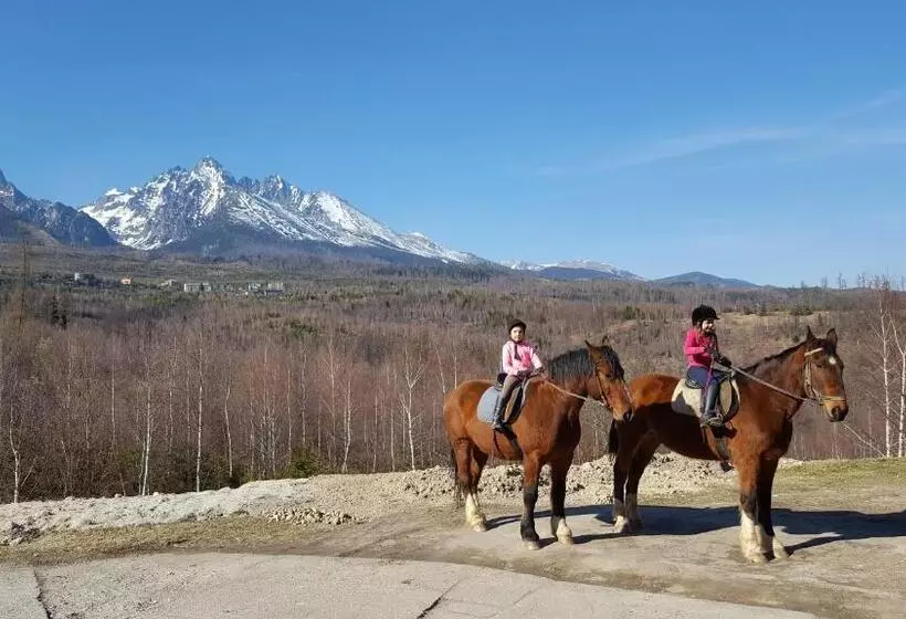 ペンション Penzión Chata Valaška