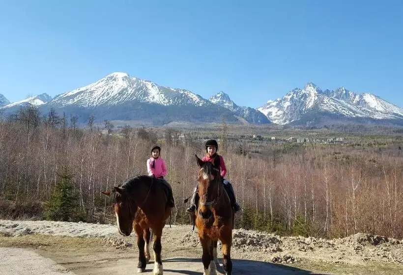 ペンション Penzión Chata Valaška